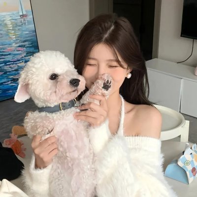 认识狗狗